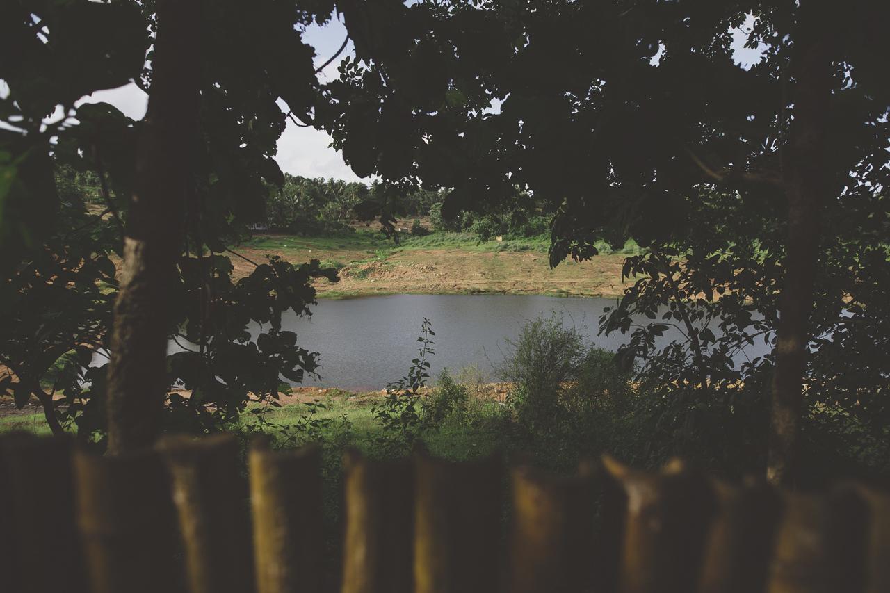 Riverine Springs Wadakkanchery ภายนอก รูปภาพ