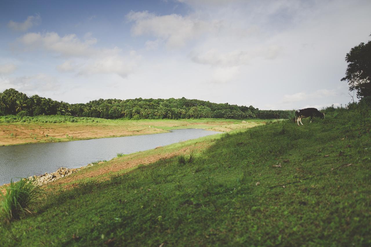 Riverine Springs Wadakkanchery ภายนอก รูปภาพ